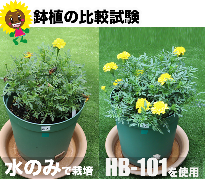 SPコンテンツ画像05